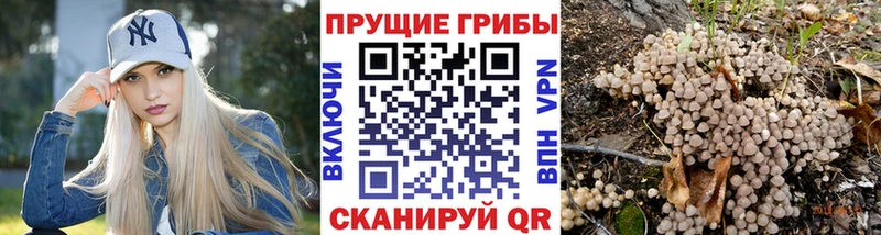 Галлюциногенные грибы ЛСД  Курск 